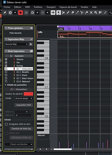 midipics1