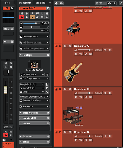 Capture d'écran Cubase Native